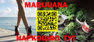 шишки Бузулук