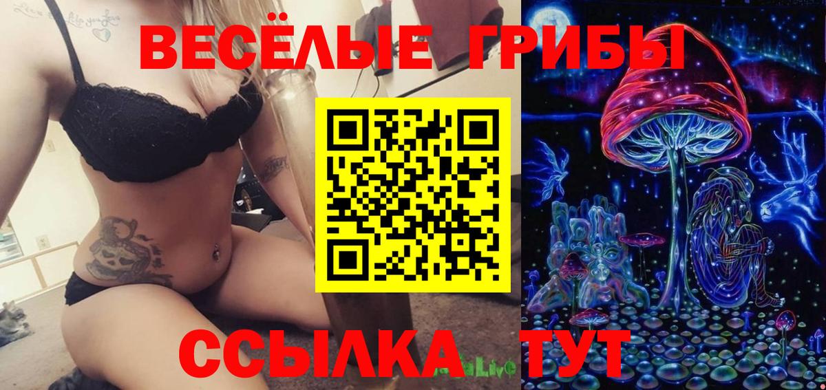 Псилоцибиновые грибы Psilocybe Луховицы